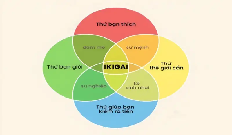 Hình ảnh minh họa quá trình nghiên cứu và tìm kiếm Ikigai