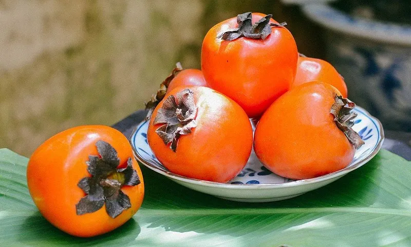 mon-ngon-ha-noi-2651