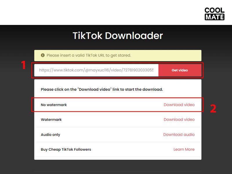 Tải video TikTok không logo miễn phí về máy tính bằng TikTok Downloader