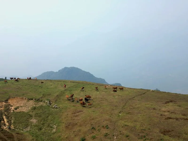 Cự ly 50km sẽ có cung đường lên Núi Bò hoàn toàn mới