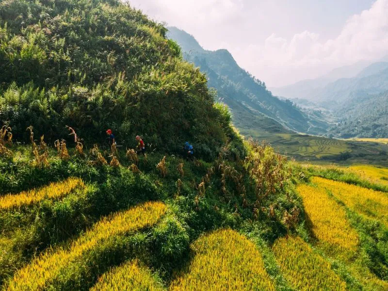 Cung đường chạy tuyệt đẹp của cự ly 10km