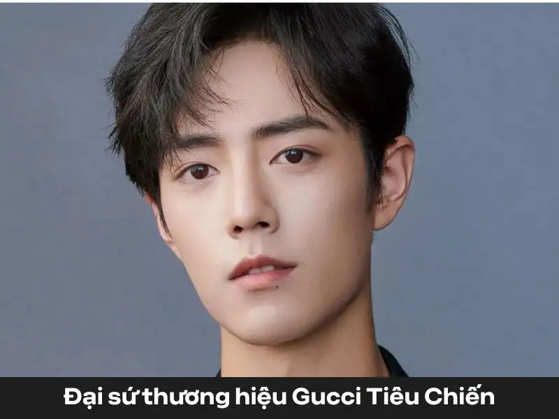 đại sứ thương hiệu gucci tiêu chiến