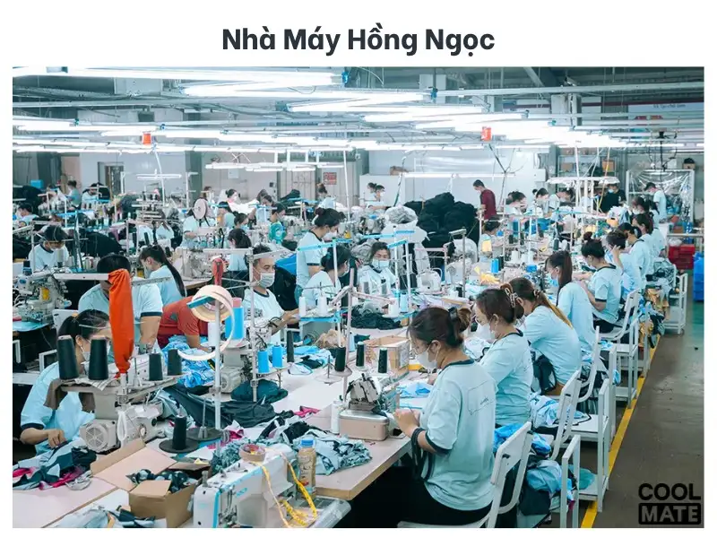 Nhà máy sản xuất Hồng Ngọc