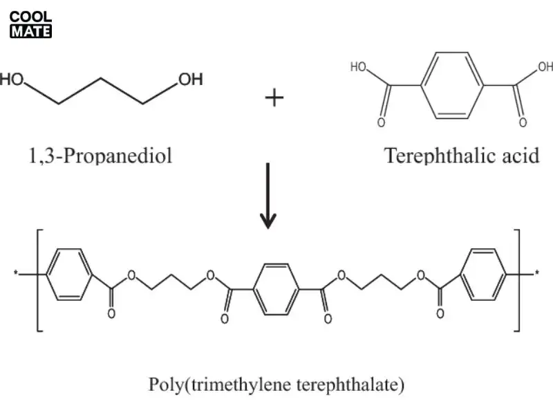 Phương pháp chuyển este hóa DMT