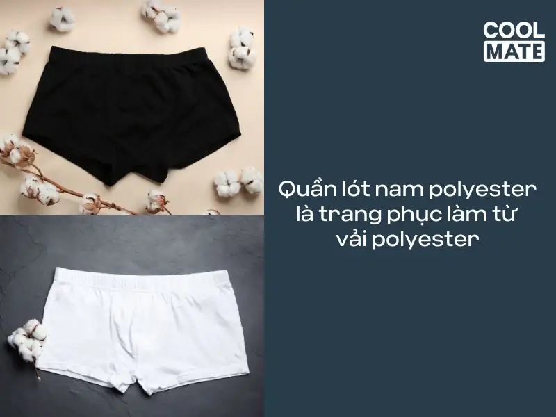 Khái niệm quần lót nam polyester