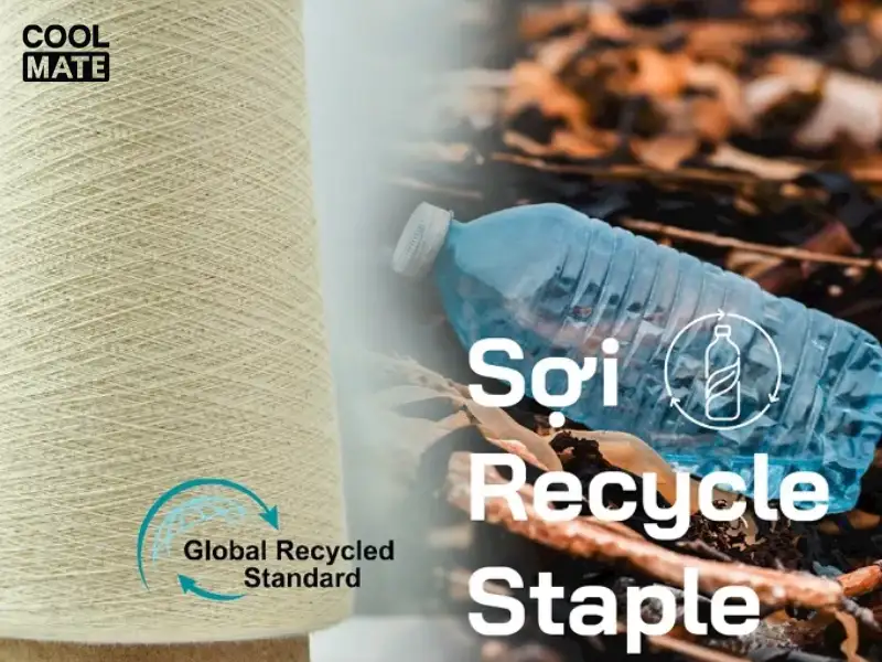 vai-recycle-tu-soi-staple