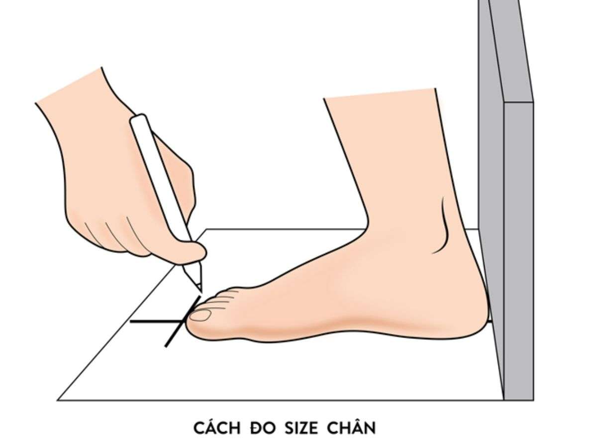 Chọn size chuẩn đảm bảo sự thoải mái tuyệt đối cho đôi chân