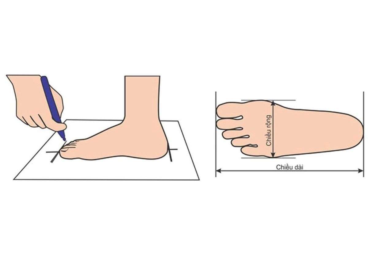 Cách Chọn Size Giày Cầu Lông Chuẩn