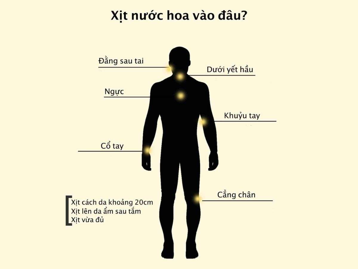 Vị trí xịt nước hoa giúp thơm lâu