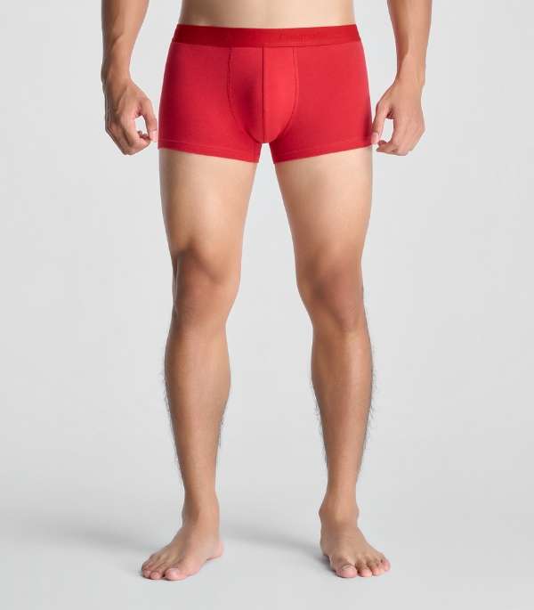 Phom Trunk Hiện Đại