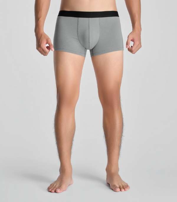 Phom Trunk Hiện Đại