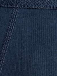 color Xanh Navy