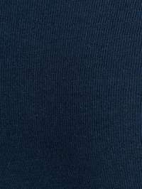 color Xanh Navy