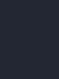color Xanh Navy