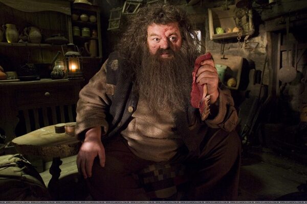 Rubeus Hagrid là người có trái tim giàu lòng nhân ái