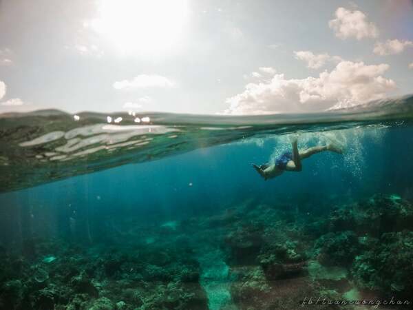 Lặn biển tại Đảo Phú Quý