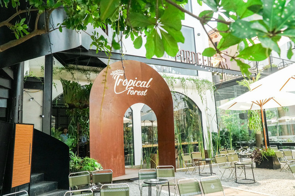 Tropical Forest x Fordeer - Quán cafe view đẹp Hà Nội nên đến ít nhất một lần