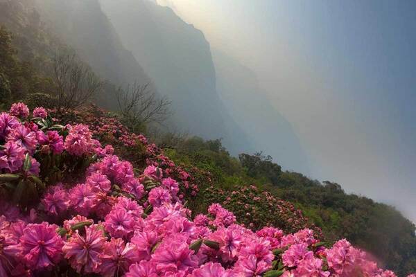 Pu Ta Leng với vẻ đẹp của hoa và núi