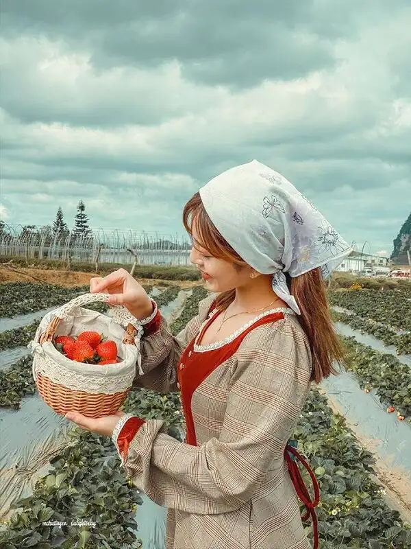 du lịch tết dương 2022 ở đâu 