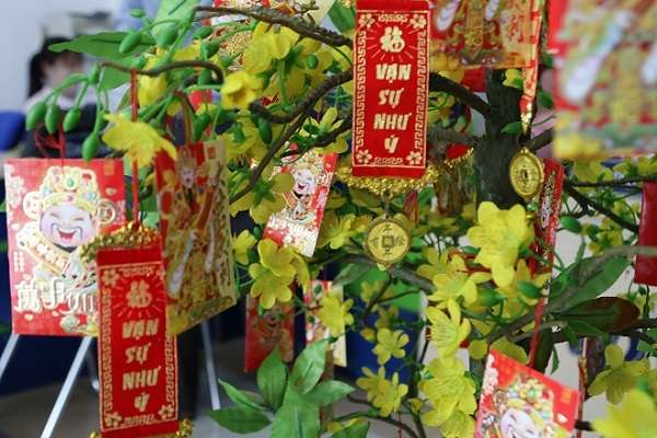 Sự xuất hiện câu đối đỏ sẽ khiến cây mai trở nên truyền thống và ấn tượng hơn. 