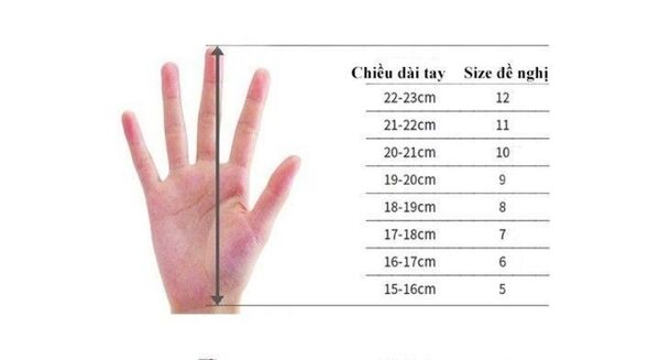 Đo kích thước tay thật chuẩn để lựa chọn găng tay tập gym phù hợp với kích cỡ tay
