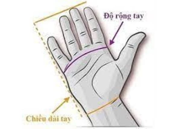 Cách đo chu vi vòng tay khi chọn găng tay
