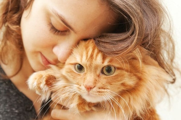 Cô gái yêu mèo là người biết lắng nghe