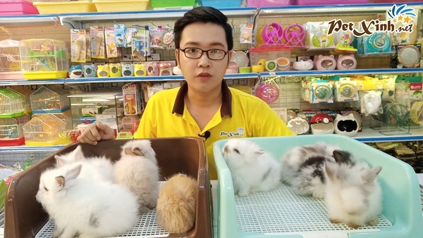 Quần áo cho thú cưng Pet Xinh