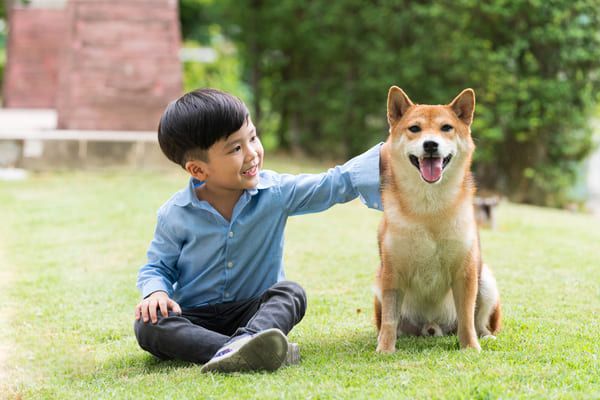 Những lợi ích tuyệt vời của việc nuôi chó đã được khoa học chứng minh