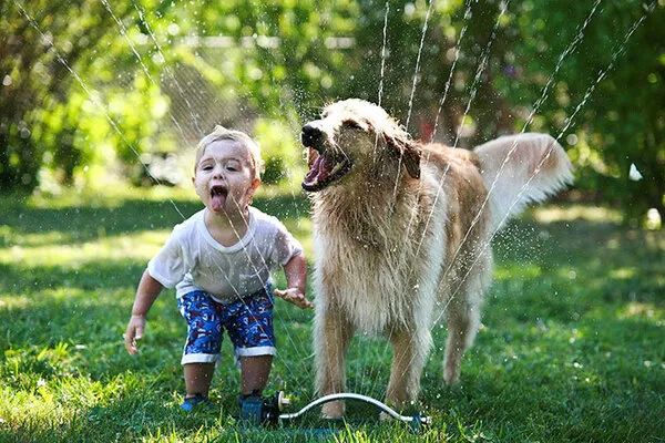 Những lợi ích tuyệt vời của việc nuôi chó đã được khoa học chứng minh