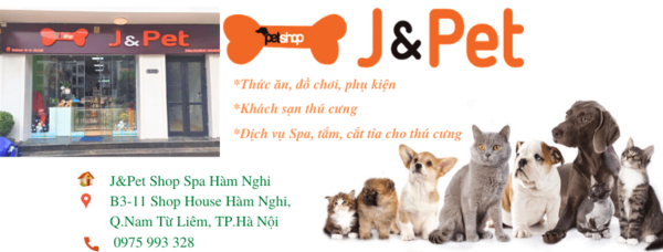 phụ kiện thú cưng Hà Nội - J&Pet Shop