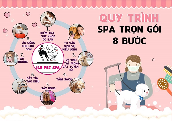 spa thú cưng hà nội