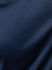 color Navy logo mới